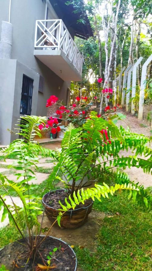 Vila Mulungu Casa Екстер'єр фото